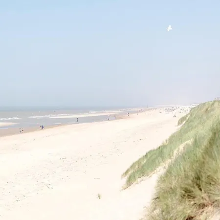In Knokke Near Seafront Wenduine