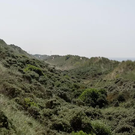 In Knokke Near Seafront